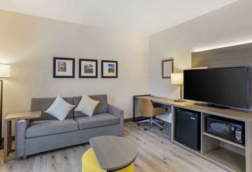 身障者適用スイートルーム, Comfort Inn & Suites Sayre