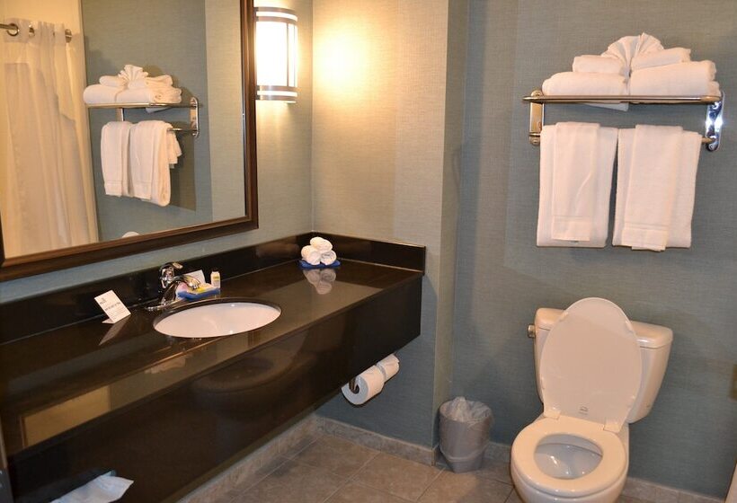 适合残疾人士使用的套间, Holiday Inn Express Selinsgrove, An Ihg