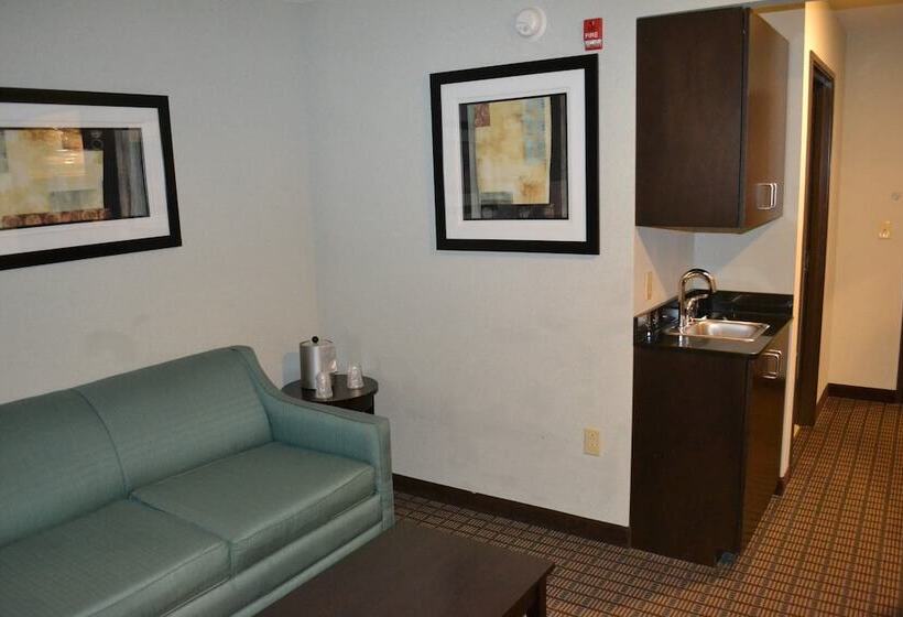 身障者適用スイートルーム, Holiday Inn Express Selinsgrove, An Ihg