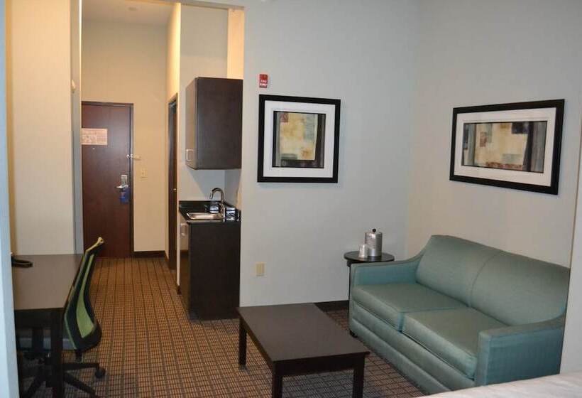 جناح لذوى الاحتياجات الخاصة, Holiday Inn Express Selinsgrove, An Ihg