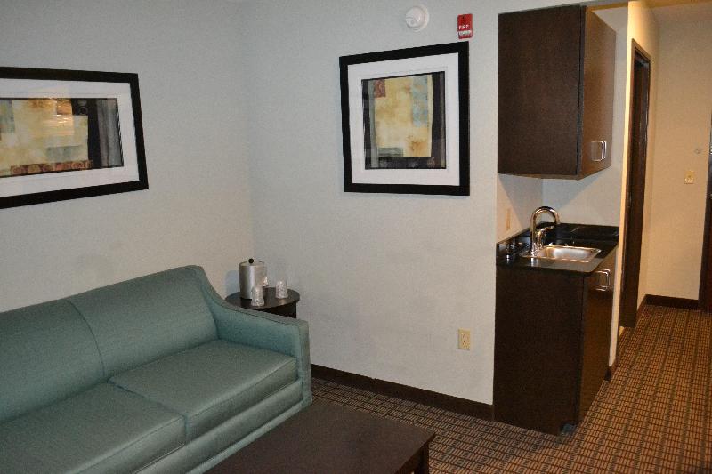 带大床的套房, Holiday Inn Express Selinsgrove, An Ihg