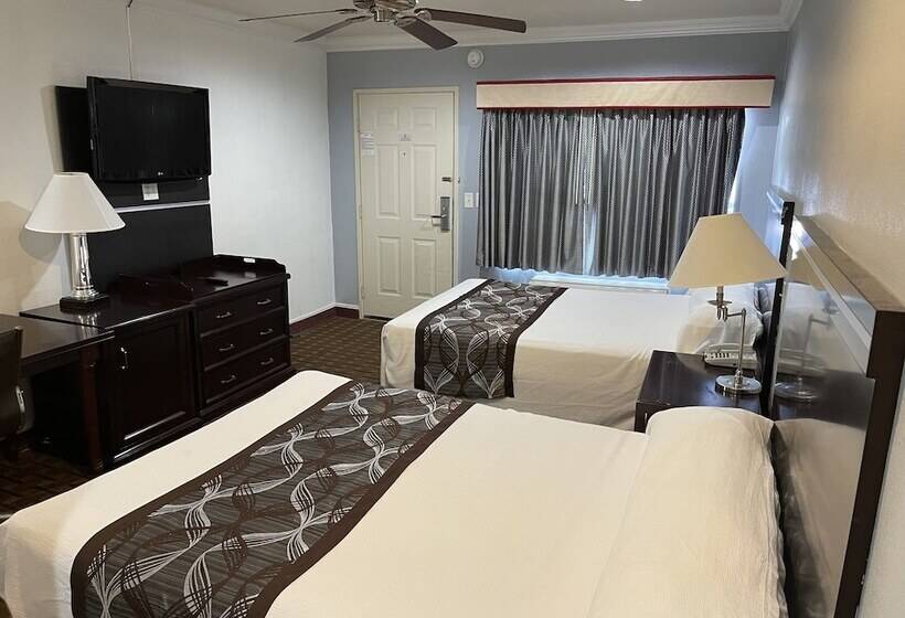 스탠다드 룸, Hollywood Guest Inn