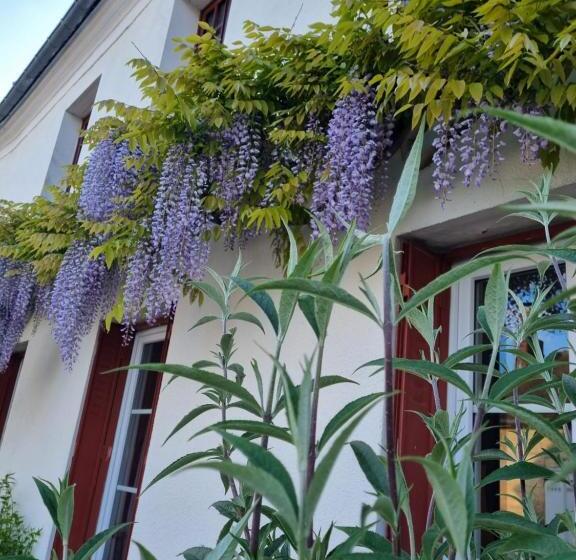 デラックスルーム, Les Glycines De Monchy  Chambres D Hôtes