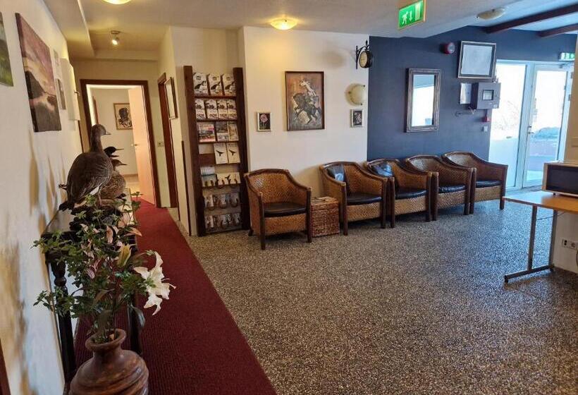 اتاق استاندارد, Gauksmýri Guesthouse Lodge