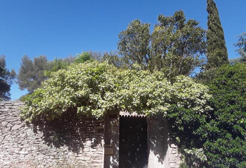 Люкс Вид на Сад, Chambres D Hôtes Lovely Planette