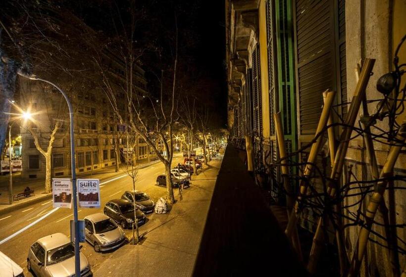 Кровать в Общей Комнате, 360 Hostel Borne