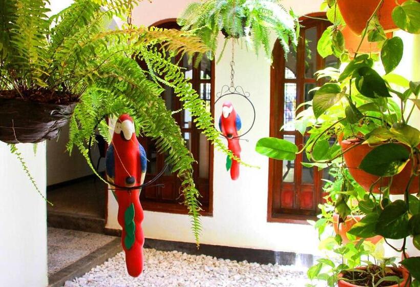 מיטה בחדר משותף, La Guaca Hostel Santa Marta
