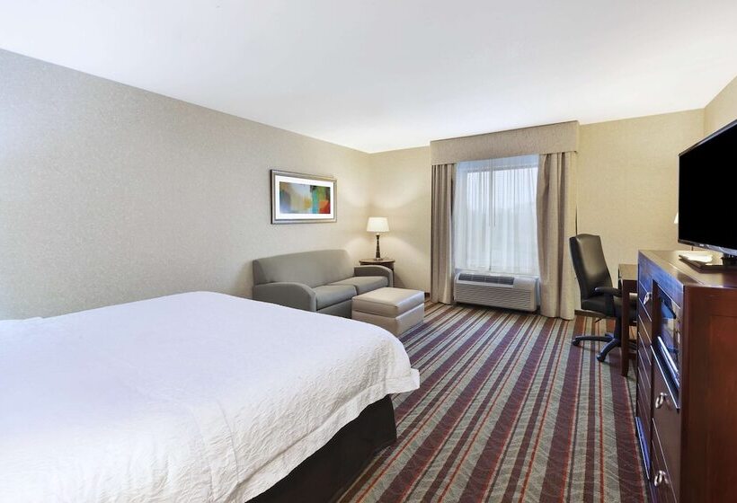 Стандартный Номер Кровать Кинг, Hampton Inn Detroit/southgate