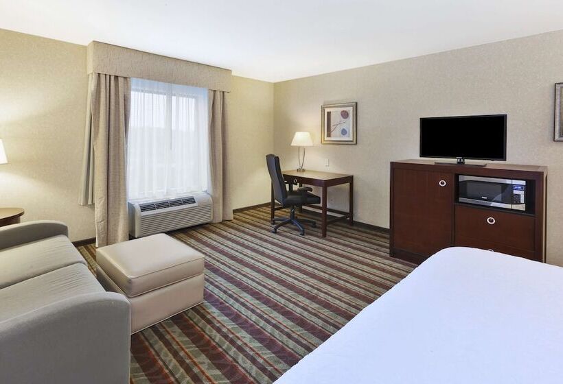 Quarto Estandar Cama King, Hampton Inn Detroit/southgate
