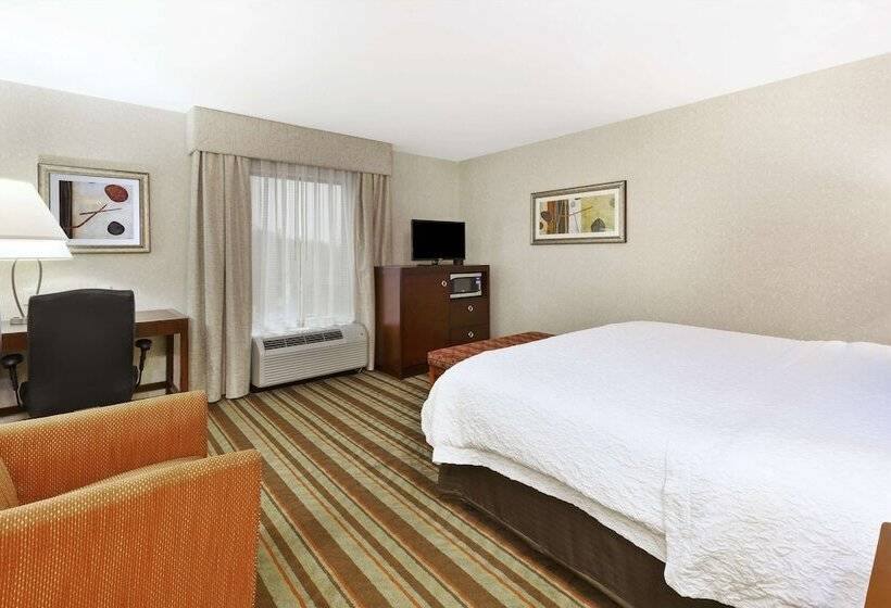 Quarto Estandar para Deficientes Físicos, Hampton Inn Detroit/southgate