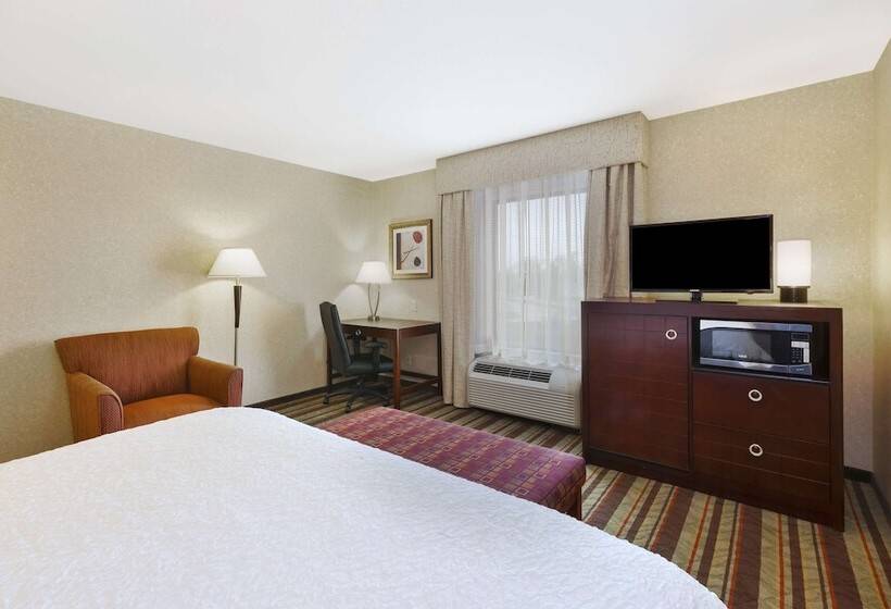 Номер Стандарт Адаптированный для Инвалидов, Hampton Inn Detroit/southgate