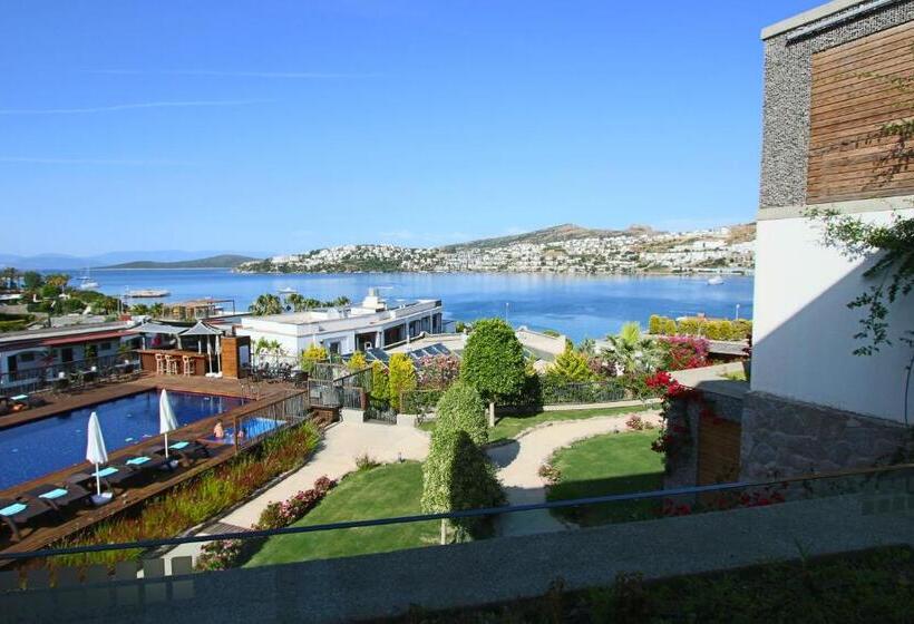 اتاق لوکس, Costa Farilya Special Class Hotel Bodrum
