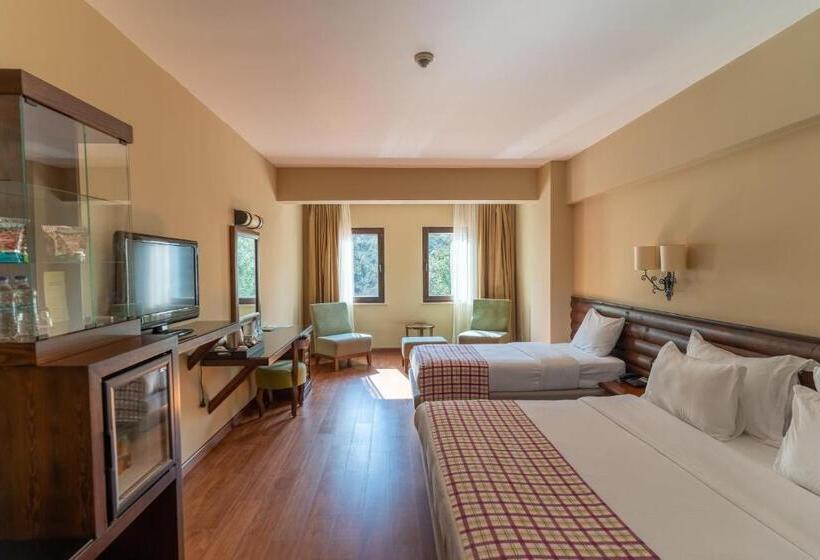 Номер Superior, Gazelle Resort & Spa