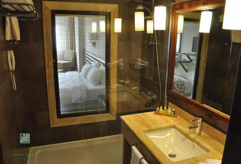Номер Стандарт с Балконом, Gazelle Resort & Spa