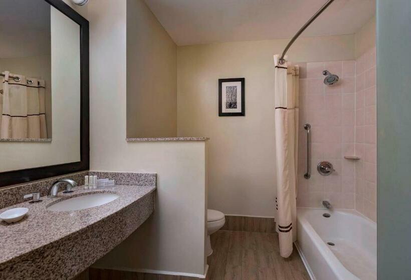 Номер Стандарт, Courtyard By Marriott San Salvador