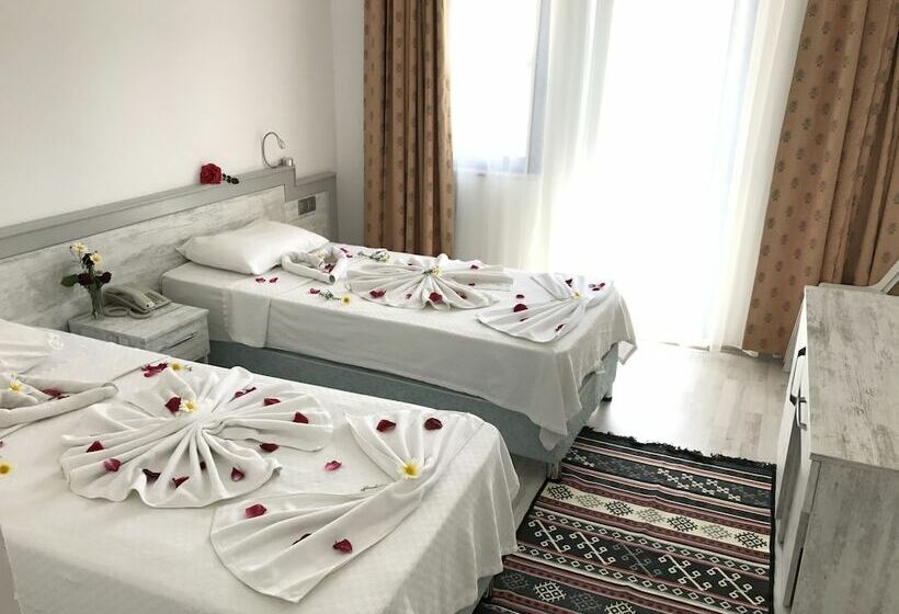 Номер Стандарт, Aymes