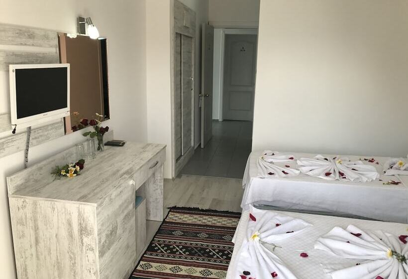 Номер Стандарт, Aymes