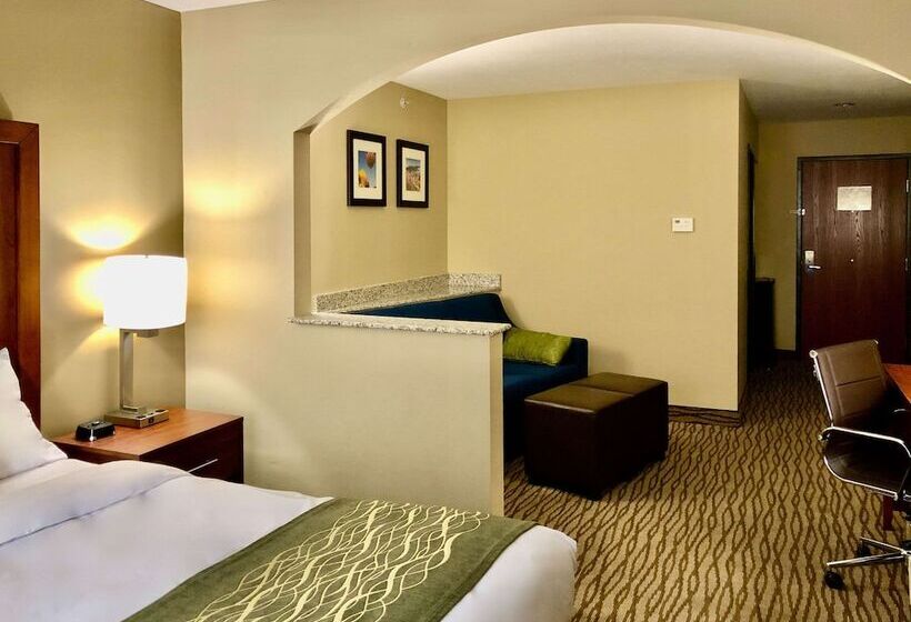 Люкс Адаптированный для Инвалидов, Comfort Inn Ogden Near Event Center