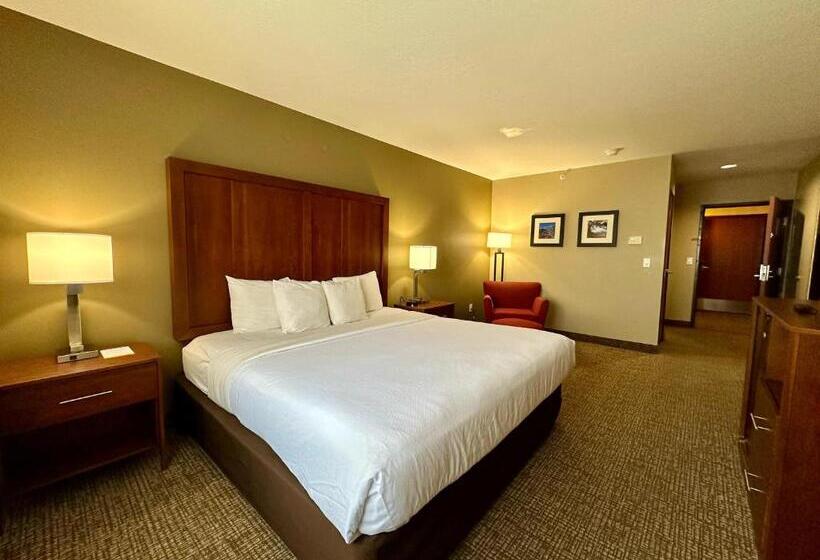 Стандартный Номер Кровать Кинг, Comfort Inn Ogden Near Event Center