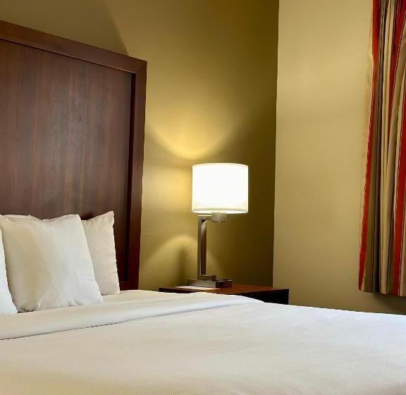 Номер Стандарт Кровать Кинг Адаптированный для Инвалидов, Comfort Inn Ogden Near Event Center