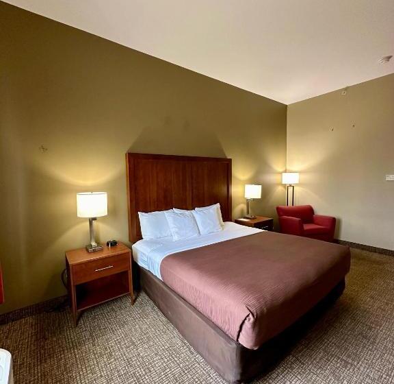 Стандартный Номер Кровать Кинг, Comfort Inn Ogden Near Event Center