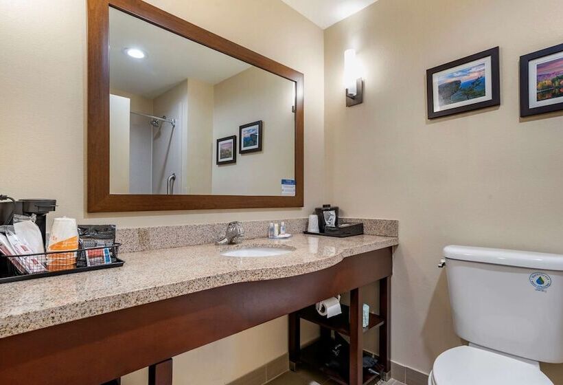 스위트, Comfort Suites Pell City I 20 Exit 158