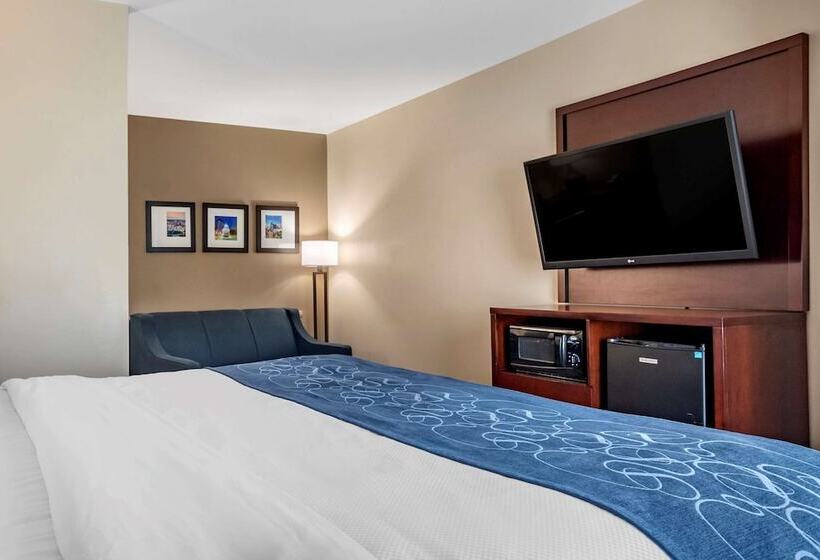 스위트, Comfort Suites Pell City I 20 Exit 158