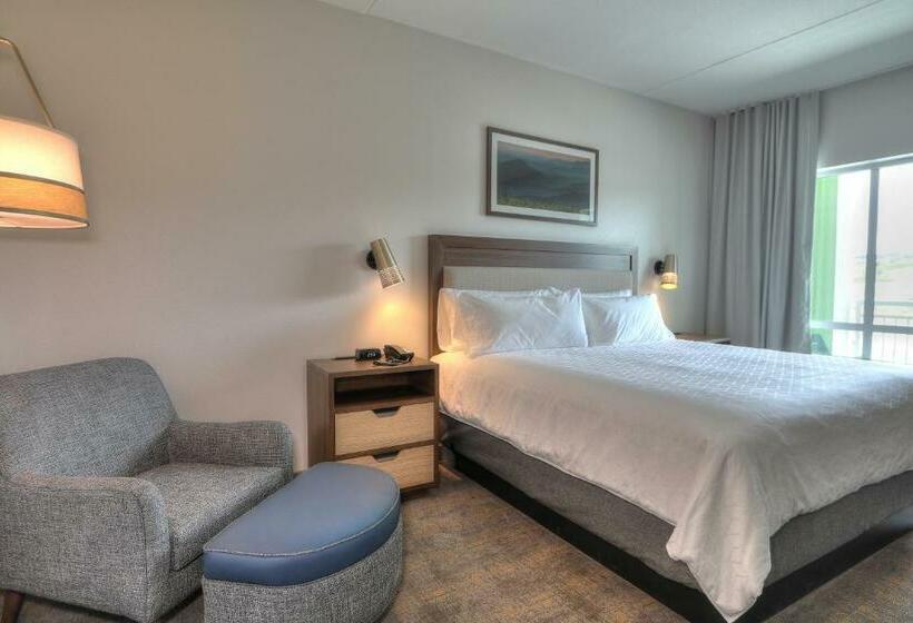 标准间, Holiday Inn & Suites Pigeon Forge Convention Center, An Ihg