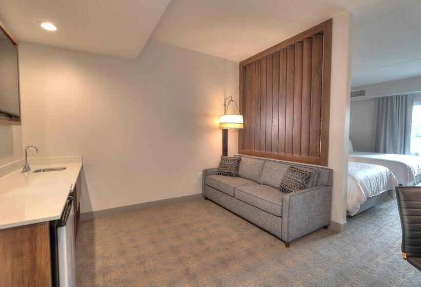 适合残疾人使用的标准间, Holiday Inn & Suites Pigeon Forge Convention Center, An Ihg