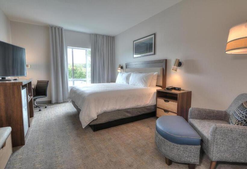 带大床的标准间, Holiday Inn & Suites Pigeon Forge Convention Center, An Ihg