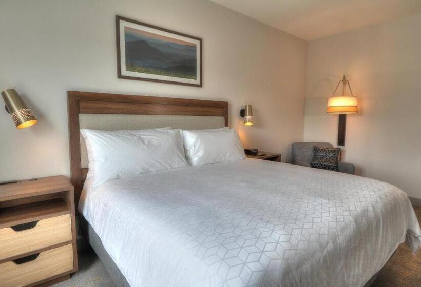 带大床的标准间, Holiday Inn & Suites Pigeon Forge Convention Center, An Ihg