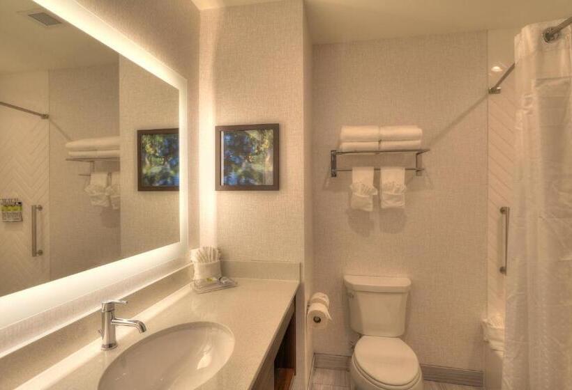 带2个双人床的标准工作室, Holiday Inn & Suites Pigeon Forge Convention Center, An Ihg