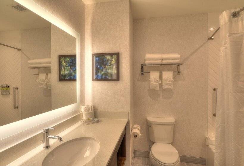 带2个双人床的标准工作室, Holiday Inn & Suites Pigeon Forge Convention Center, An Ihg