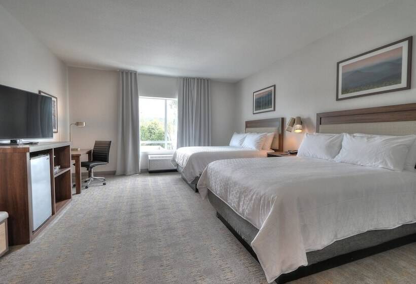 带2个双人床的标准工作室, Holiday Inn & Suites Pigeon Forge Convention Center, An Ihg