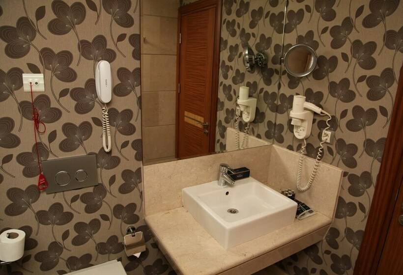 اتاق استاندارد, Armi̇s