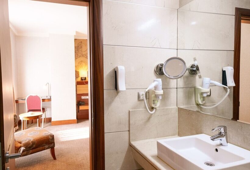 اتاق استاندارد, Armi̇s