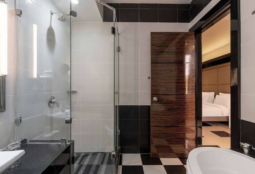 سوییت با چشم‌انداز استخر, Radisson Blu Hotel Lusaka