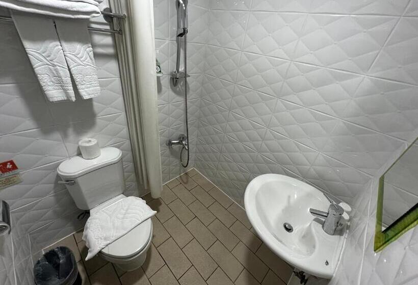 اتاق استاندارد, Young Soarlan Hotel   Tainan