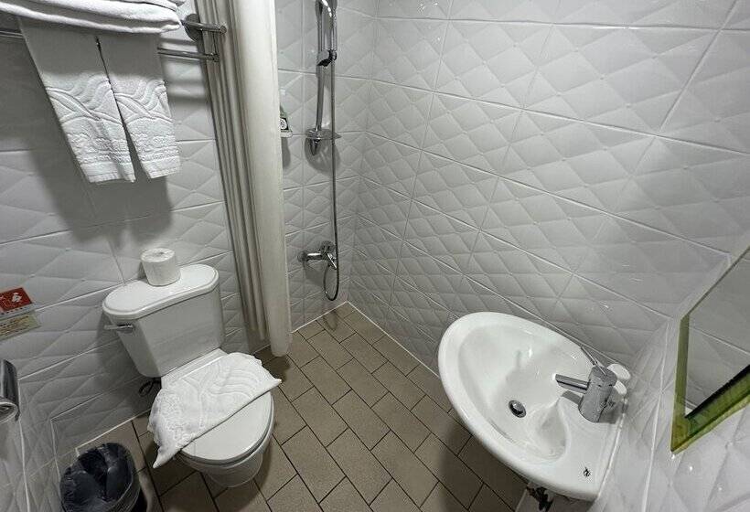 اتاق استاندارد, Young Soarlan Hotel   Tainan
