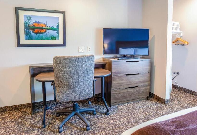 اتاق استاندارد برای معلولان, My Place Hotel Wenatchee, Wa