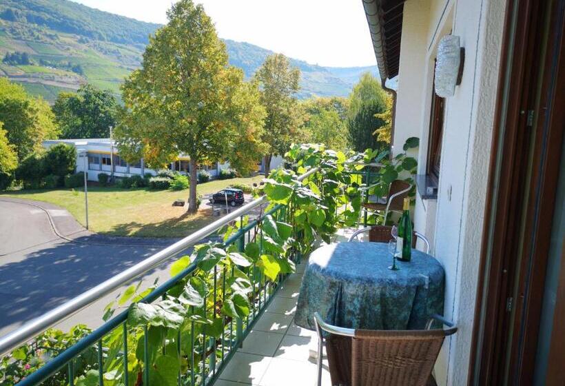 شقة غرفة نوم واحدة مزودة بشُرفة, Appart Pension Schier
