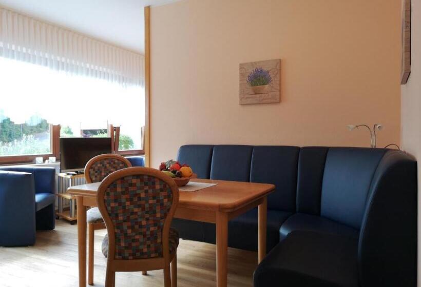 带1个卧室带观景的公寓, Appart Pension Schier