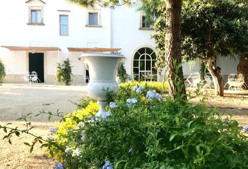 Номер Стандарт, Tenuta Castelle