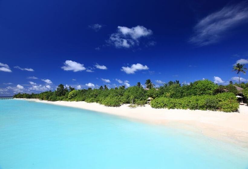 ویلای یک اتاق خوابه با استخر شنا, Six Senses Laamu