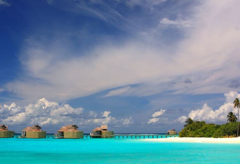 ویلای 1 خوابه, Six Senses Laamu