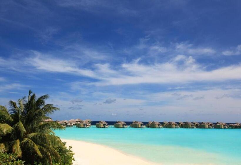 ویلای 1 خوابه, Six Senses Laamu