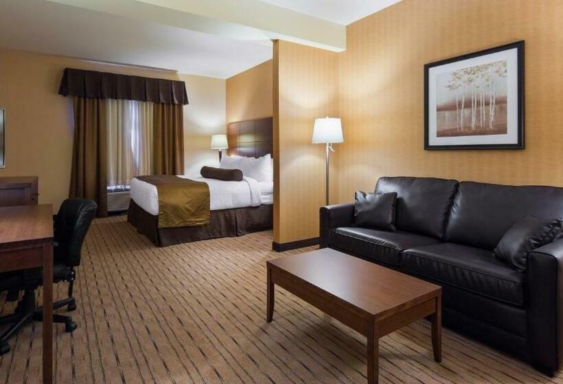身障者適用キングサイズベッドルーム, Best Western Plus, Bathurst Hotel & Suites