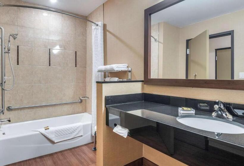 身障者適用キングサイズベッドルーム, Best Western Plus, Bathurst Hotel & Suites
