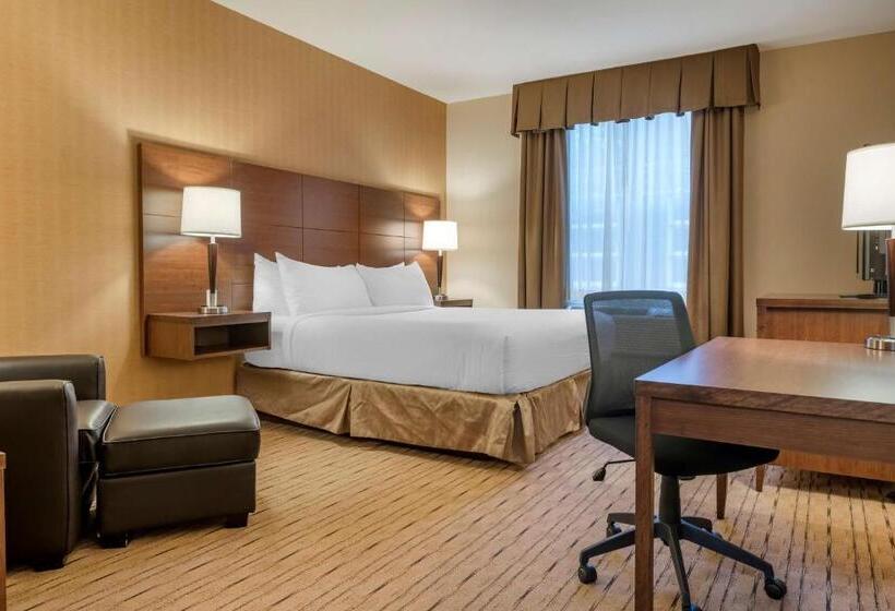 身障者適用キングサイズベッドルーム, Best Western Plus, Bathurst Hotel & Suites