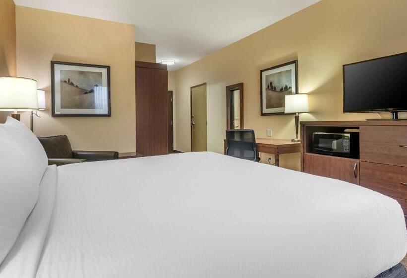 キングサイズベッドのスタンダードルーム, Best Western Plus, Bathurst Hotel & Suites